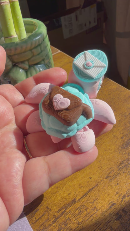Postal Heart Turtle